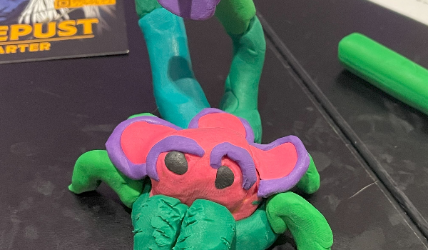 Bilde for arrangement